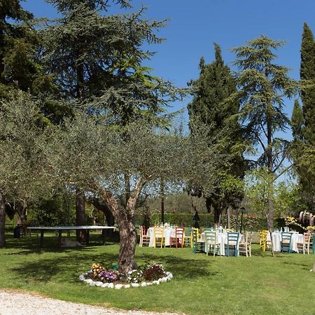 Bed&Breakfast Il Frantoio Мизано-Адриатико Экстерьер фото